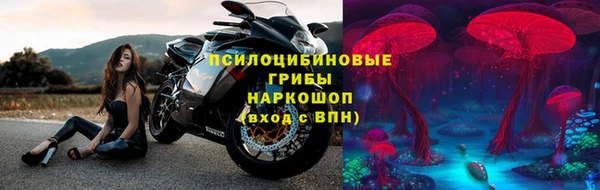альфа пвп Новодвинск