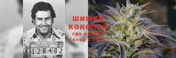 альфа пвп Новодвинск