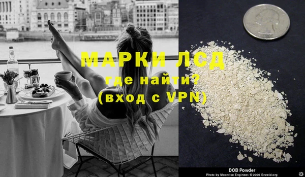 альфа пвп Новодвинск