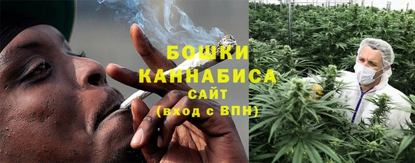 альфа пвп Новодвинск