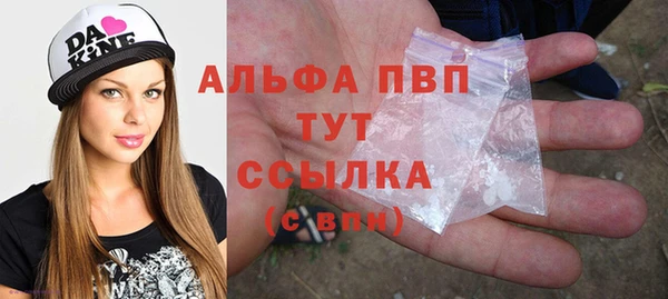 альфа пвп Новодвинск
