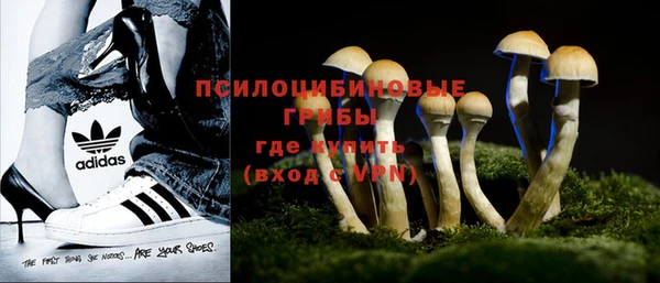 крисы Нефтегорск