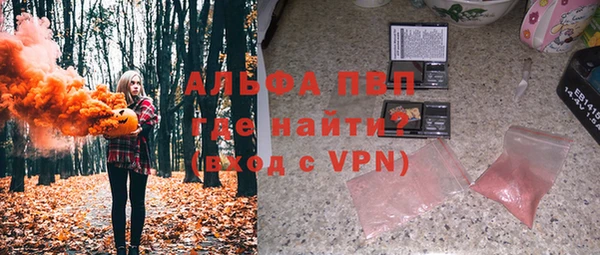 сатива Анжеро-Судженск