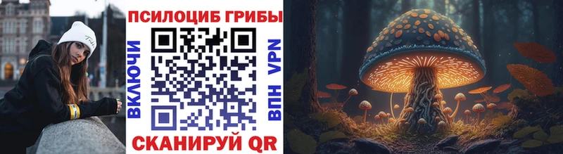 Галлюциногенные грибы GOLDEN TEACHER  как найти наркотики  Новопавловск 